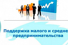 Инфраструктура поддержки субъектов малого и среднего бизнеса