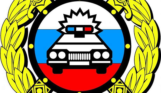 Член Общественного совета и сотрудники ГИБДД УВД по САО в День рождения светофора провели профилактическое мероприятие